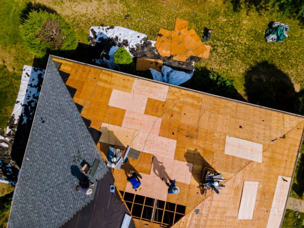 Roof Gutter Cleaning in Providence Village, TX